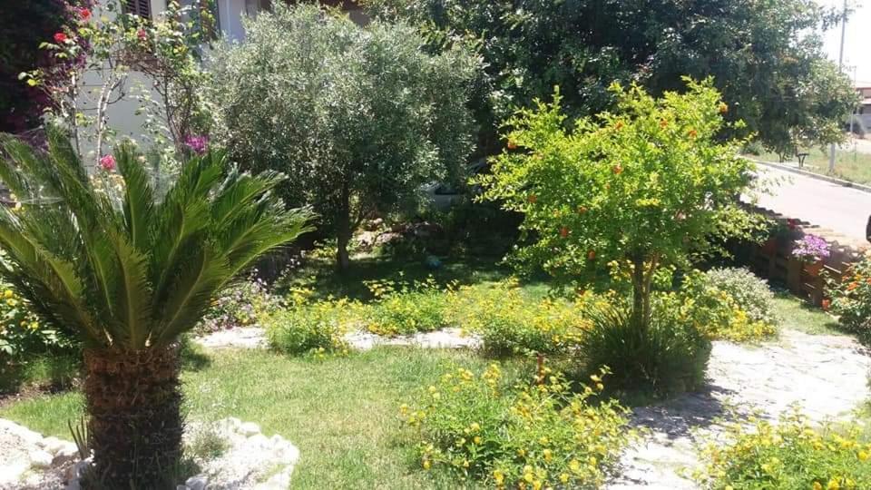 B&B Ottoulivi Сардара Екстериор снимка