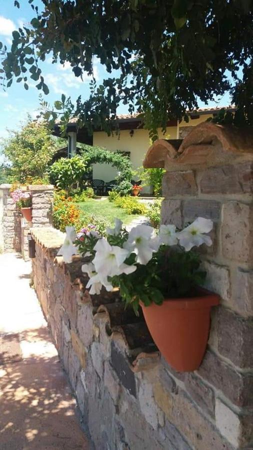 B&B Ottoulivi Сардара Екстериор снимка