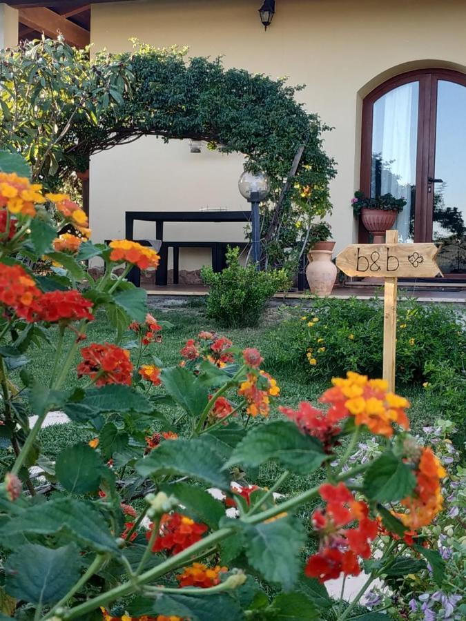 B&B Ottoulivi Сардара Екстериор снимка